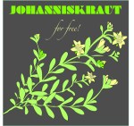 Johanniskraut1