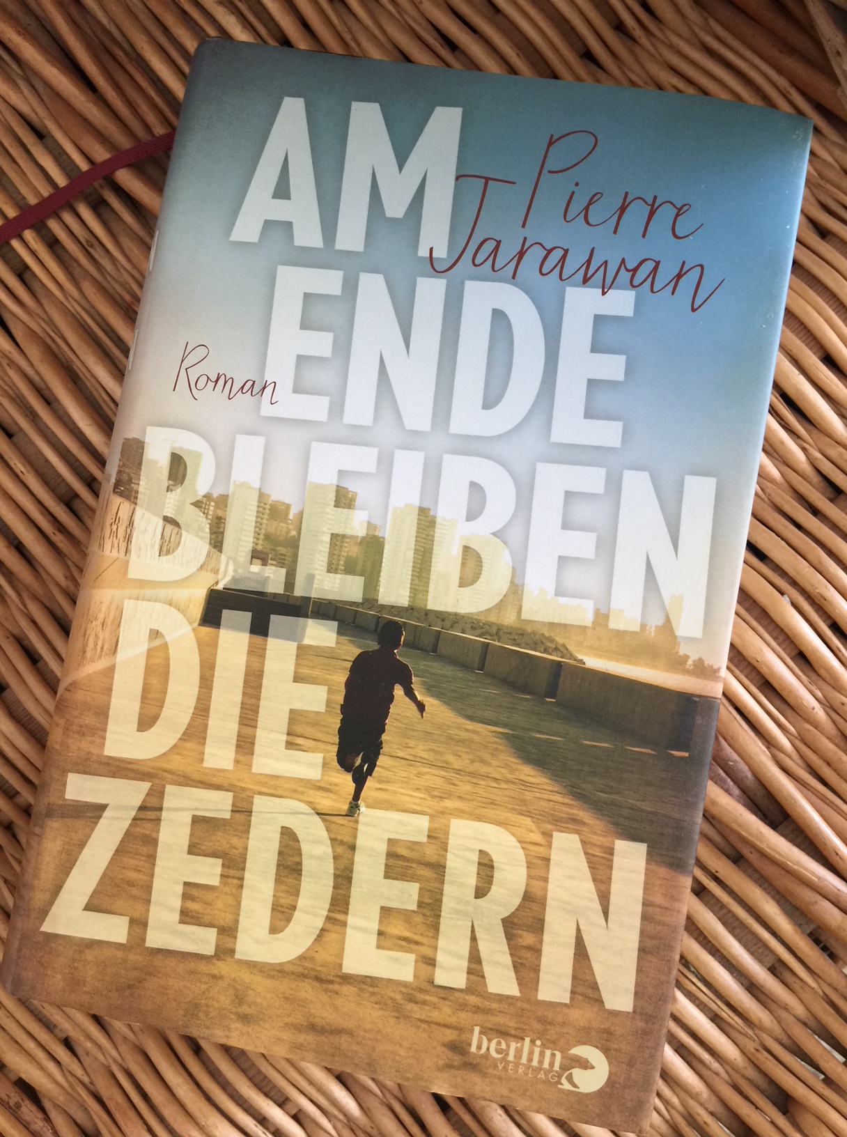 Am Ende bleiben die Zedern.JPG