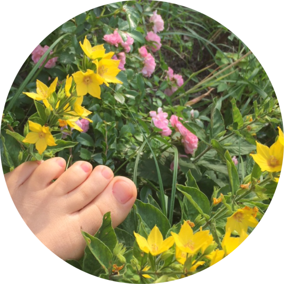 Mehr als 40_die fünfte.png