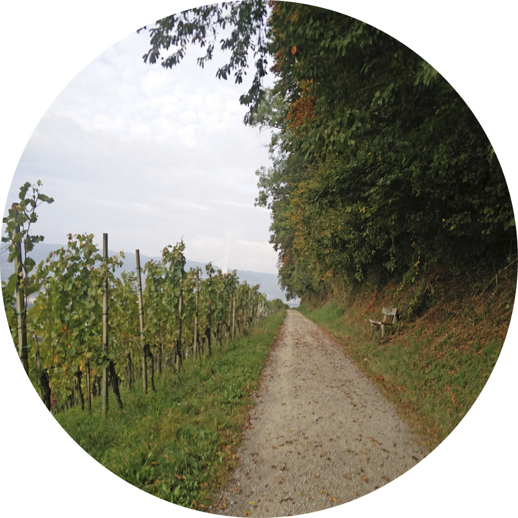 Mehr als 40_die zweite